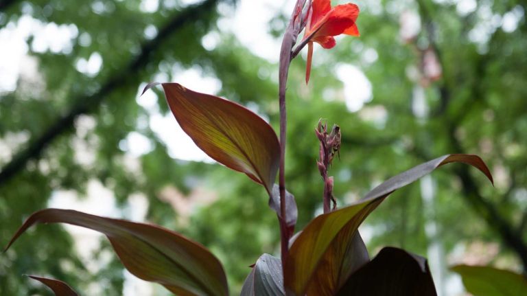 Upper East Side 15 Ruppert Park, named for Colonel Jacob Ruppert (1867-1939), located on 2nd Avenue between 90th and 91st Streets.