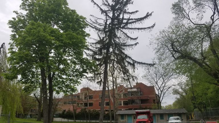 The Hebrew Home at Riverdale is applying for a special permit that would allow it to expand and care for a wider array of seniors' needs.