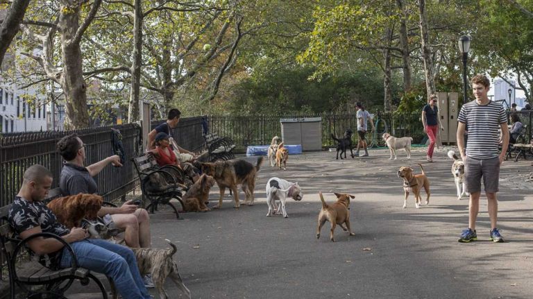 Hell's Kitchen 16 DeWitt Clinton Park in Hell's Kitchen features a dog park. (Oct. 4, 2013)