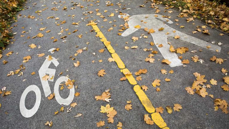 A bike path near Muskrat Cove, a hidden piece of woodland between the Bronx River Parkway and Metro North railroad tracks in Woodlawn.