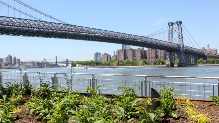 Domino Park offers views of the Williamsburg Bridge.