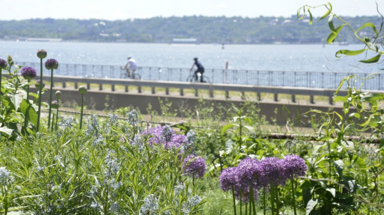If you keep walking west (to Shore Road between Bay Ridge Avenue and 72nd Street), you'll run into the Narrows Botanical Garden, which not only has great views of New York Bay (and of Staten Island), but a native plant sanctuary, a lily pond, a zen garden and rose gardens. If you can ignore some street noise, it's a nice little retreat. The all-volunteer project was started in 1995 and has since been named as one of the top five gardens to visit in NYC by Condé Nast Traveler. If you keep walking south, you'll eventually hit Shore Road Park, which has incredible views of the Verrazano-Narrows Bridge.