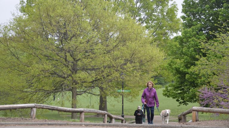 Prospect Park is an oasis and is said to even be better than Central Park by Brooklyn residents. There's 526 acres of freedom to enjoy, whether you walk its trails, bike its tracks, walk your dogs or sunbathe on its lawns. It also boasts a zoo, a boathouse, a lake and a skating rink, where you can roller disco every Friday night in the summer.