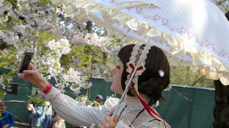 A visitor takes a picture under a cherry tree at the Sakura Matsuri festival.