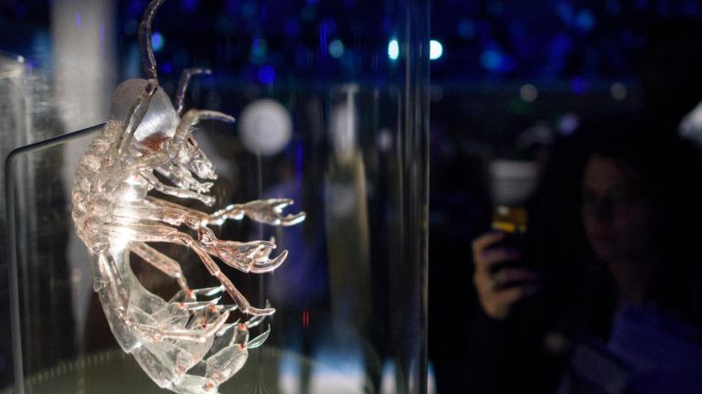 Only 10 to 15 percent of the sea floor has been mapped with accuracy, which means that we haven't even scratched the surface of what is living down there. From plankton to protozoans (like this drifting carnivore), you'll learn how the smallest beings affect the ocean and the ecosystem as we know it through larger-than-life models, microscopes targeted on an actual drop of seawater and a 