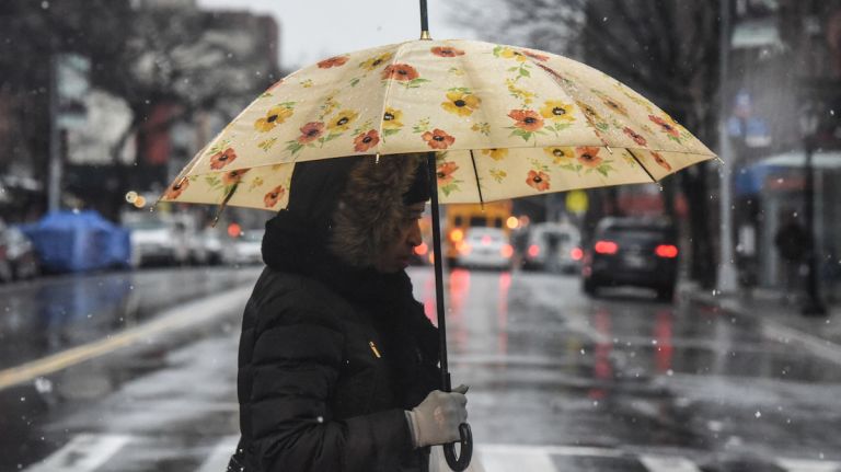 This floral umbrella made an appearance in Brooklyn during the March 2, 2018, nor'easter.