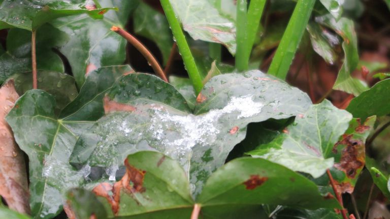 Snow in NYC: Photos from winter 2016-2017 53 Winter mixes with spring in Manhattan's Bryant Park on Friday, March 10, 2017.