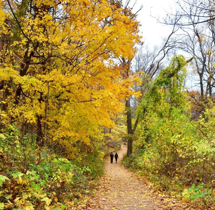Where to see fall foliage upstate this weekend without renting a car 1 Upstate New York's fall foliage.
