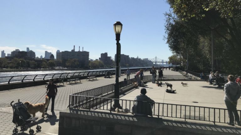 After strolling past Gracie Mansion, take a walk along the esplanade, which runs adjacent to Carl Schurz Park from East 90th to 83rd streets and is part of the Bobby Wagner Walk Course. You'll have views of Roosevelt Island and Queens.