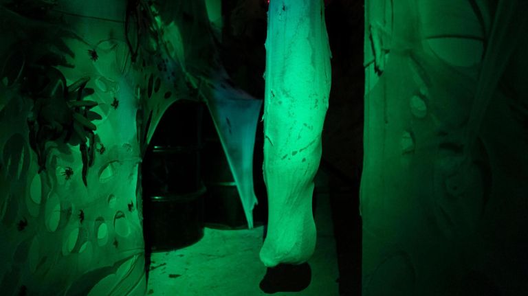 Bane, Manhattan's new Haunted House, also has a room full of spiders preparing for their next meal.