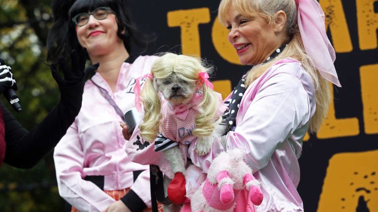 Hundreds of dogs and their owners participated in the annual Halloween Dog Parade at Tompkins Square Park, Manhattan, October 22, 2016.