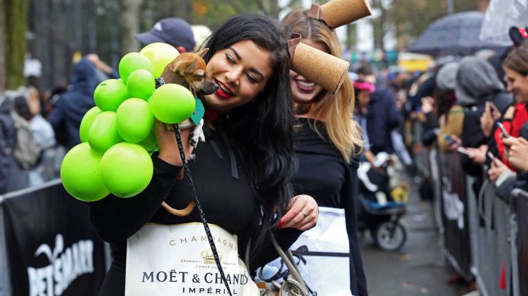 This tiny dog sports a costume that could be straight from the vineyard, as hundreds of dogs and their owners turn out for the annual Halloween Dog Parade at Tompkins Square Park, Manhattan, October 22, 2016.