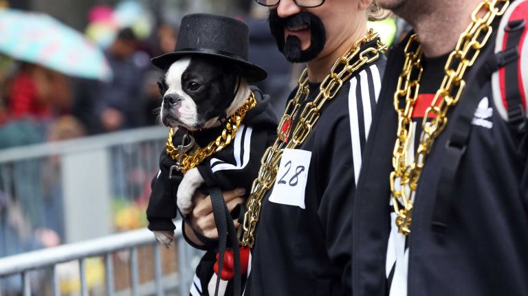 This Boston terrier shows definite links with his humans as the trio joins hundreds of dogs and their owners in the annual Halloween Dog Parade at Tompkins Square Park, Manhattan, October 22, 2016.