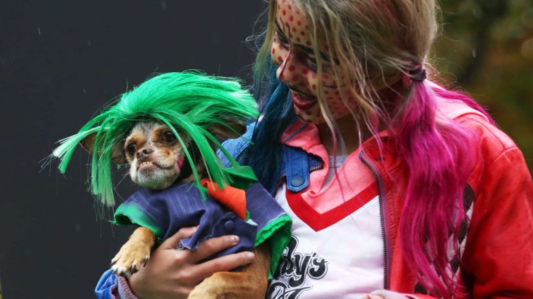 This pair surely got lots of attention at the annual Halloween Dog Parade at Tompkins Square Park, Manhattan, October 22, 2016.