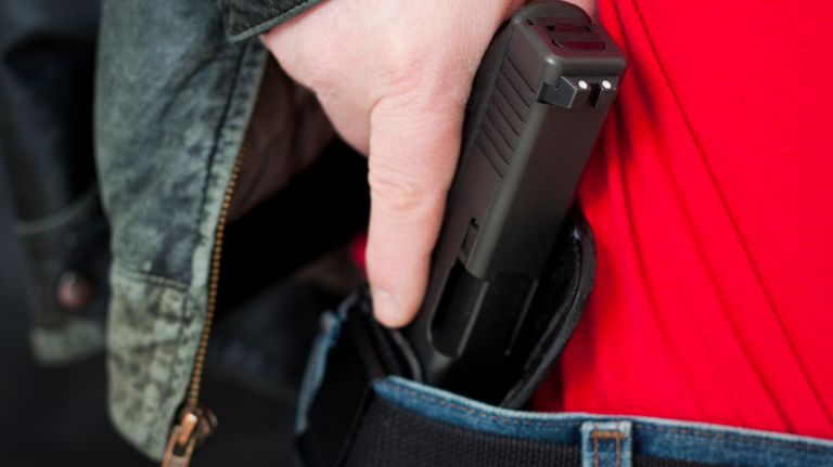 The NYPD's response to certain situations could be complicated by the Concealed Carry Reciprocity Act if it's passed by Congress, one Second Amendment expert said.