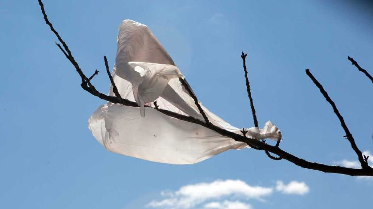 Plastic bags are still with us, despite efforts to pass fees that would cut back on their use.