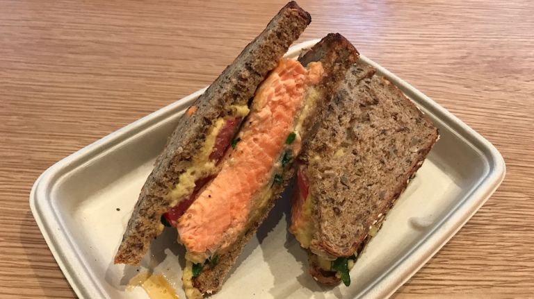 Honeybrains, neurologist-run NYC cafe, is serving up food for thought in NoLIta 15 Just as he picked the veggies with the healthiest pigments, Seifan chose to use the protein with the most Omega-3 -- meaning there's a lot of salmon and tuna on the menu. Pictured is the S.S. Salmon Sandwich, with organic salmon, marinated tomatoes and hummus.