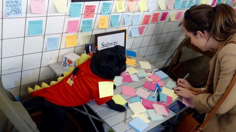 Basil, a pug belonging to Jo Simon, got into the action. 