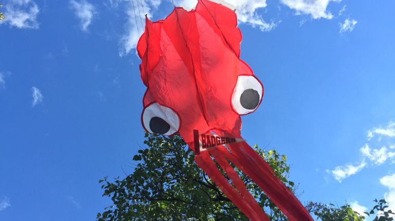 NYC park rules New Yorkers frequently break: Climbing trees, flying flags, more 9 Showing off your country or school pride is a noble concept. But don't try to fly it from any kites, balloons or aerial devices because it's most definitely illegal. No one was cited for an unauthorized banner from July through September.