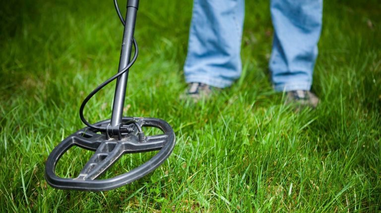 NYC park rules New Yorkers frequently break: Climbing trees, flying flags, more 11 Unless you're on a sandy beach, leave the metal detectors at home. Having one in a park is illegal.