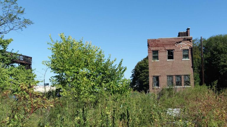 This structure once served as North Brother Island's morgue. A church formerly sat nearby, but recently collapsed, Councilman Mark Levine said.