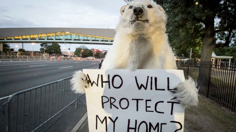 Washington D.C. resident Bill Snape, who represents The Center for Biological Diversity, dressed as a polar bear trying to bring attention to climate change outside the presidential debate at Hofstra University on Sept. 26, 2016.