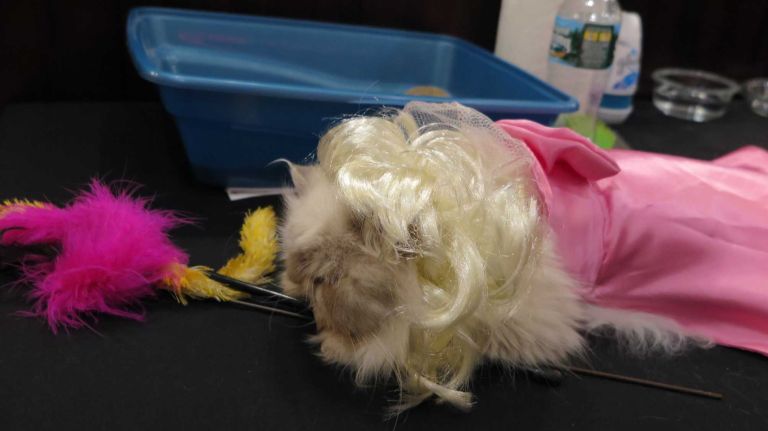 Marilyn Monroe is clearly having none of the cameras. Classic diva behavior.