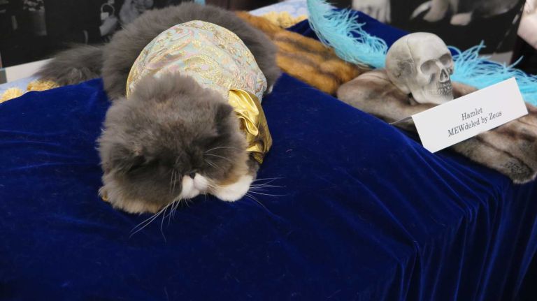 Hamlet decided to take a snooze during his Shakespearean performance.