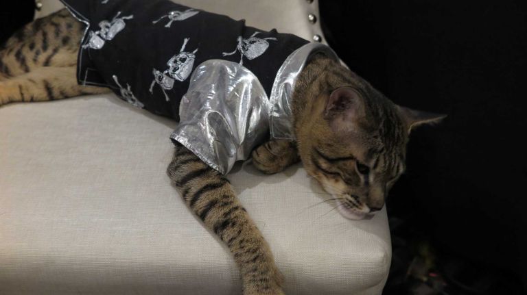 Midnight is channeling a 