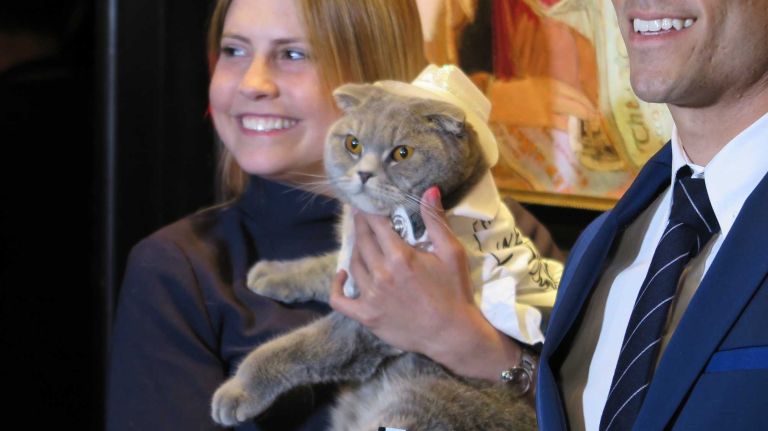 Is this caricaturist Al Hirschfeld or just an adorable cat dressed like him? We can't tell either.