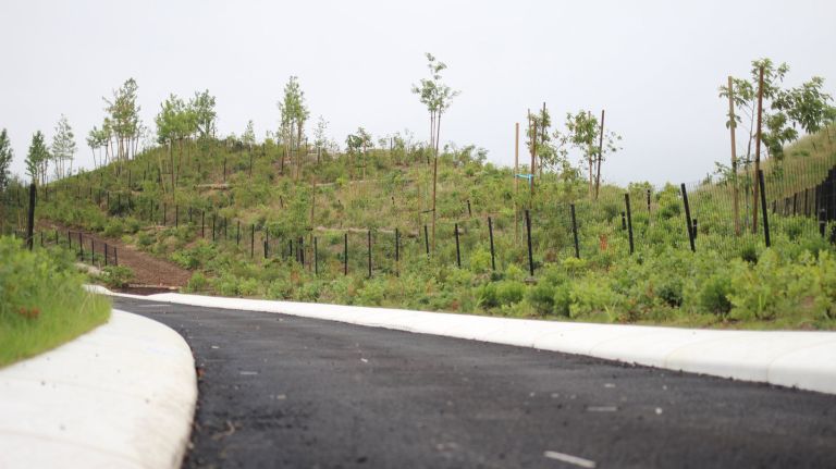 Paths along The Hills are lined with white stone.