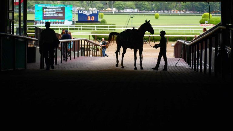 Horses are silhouetted in the tunnel at Belmont Park in Elmont on June 11, 2016, prior to the 148th running of the Belmont Stakes.