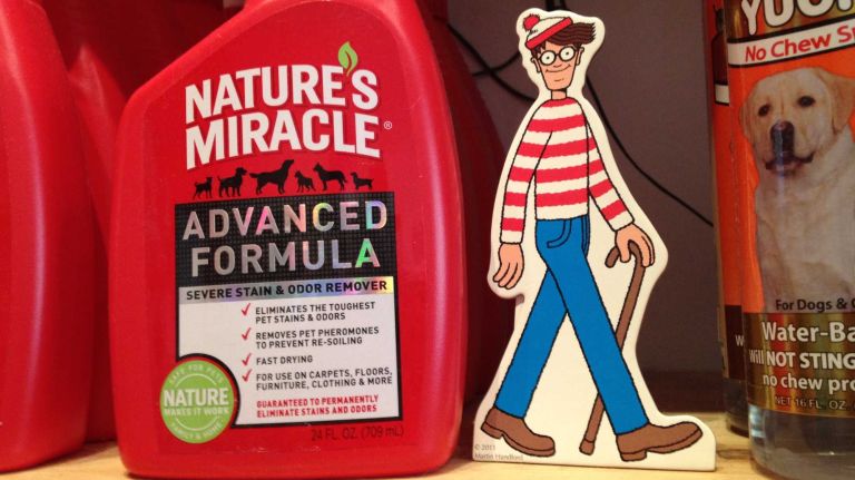 The Astoria Bookshop will host a 