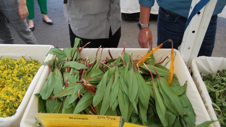 Ah, ramps. The harbinger of spring that sends foodies everywhere into a tizzy. Ramps are wild onions that grow in valleys and along riverbanks from New England south through the Appalachias and they are only available for a short window of time. They can be cooked every which way -- sauteed, roasted, pureed, mixed with butter and much more. Murphy lightly roasted them with morel mushrooms and English peas and served the spring mix with steaks at home on a recent night. They are also used in special menu dishes at his restaurants.