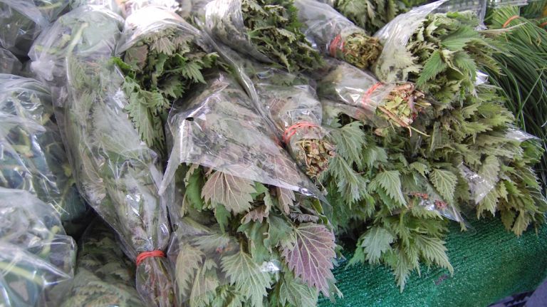 This flowering leafy green must be cooked because 