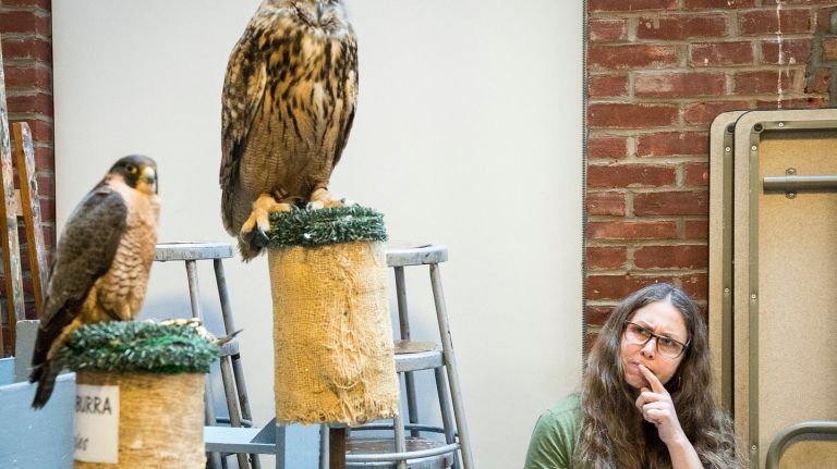 Art student Leslie Steigelman ponders her approach to draw an Eurasian Eagle-Owl during art class at the New York Academy of Art in TriBeCa on Tuesday, March 29, 2016. 