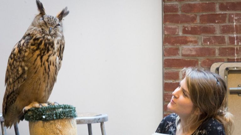 Art student Ragga Thorgrimsdottir takes a moment to admire the Eurasian Eagle-Owl after spending time drawing the European bird during art class at the New York Academy of Art in TriBeCa on Tuesday, March 29, 2016. 