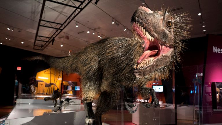 This feathered dinosaur, Anchiornis huxleyi, which lived in what is now China about 161 million years ago and is in the 