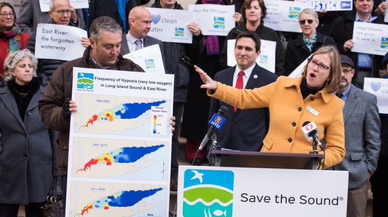 A report on East River pollution was released by Tracy Brown, director of Save The Sound, on Tuesday, Nov. 15, 2017.
