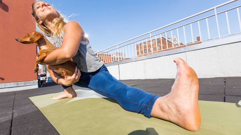 Doga can be a calming experience for your dog. 