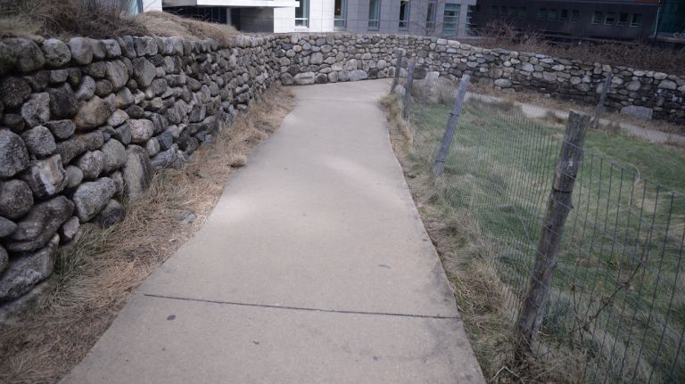 Visitors stroll along the path on a slight incline surrounded by native Irish flora. 