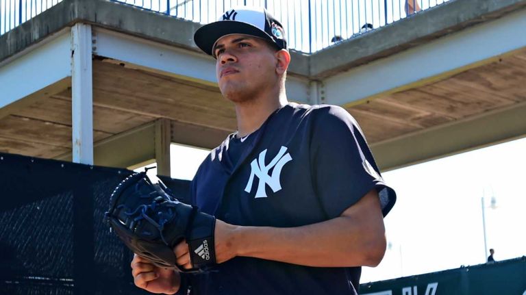 New York Yankees spring training 2016 140 New York Yankees Dellin Betances takes the field during Spring Training at George M. Steinbrenner Field in Tampa, Florida. Feb. 20, 2016