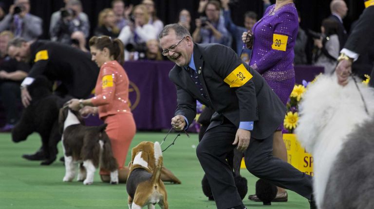 From those who saw her in the ring -- including her over-the-moon handler William Alexander (pictured after his hound was named best in show win on Feb. 17, 2015) -- at Westminster to the many folks she visited on her NYC tour (including designer Michael Kors, at Sardi's), Miss P makes people smile. 