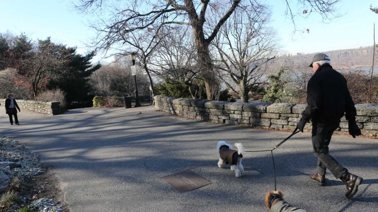 Fort Tryon Park in Washington Heights, Wednesday, Jan. 6, 2016.