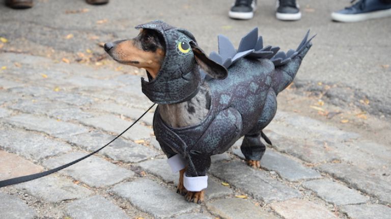 Daisy Mae, a 6-year-old Dotson, imitated a Stegosaurus in honor of the release of 