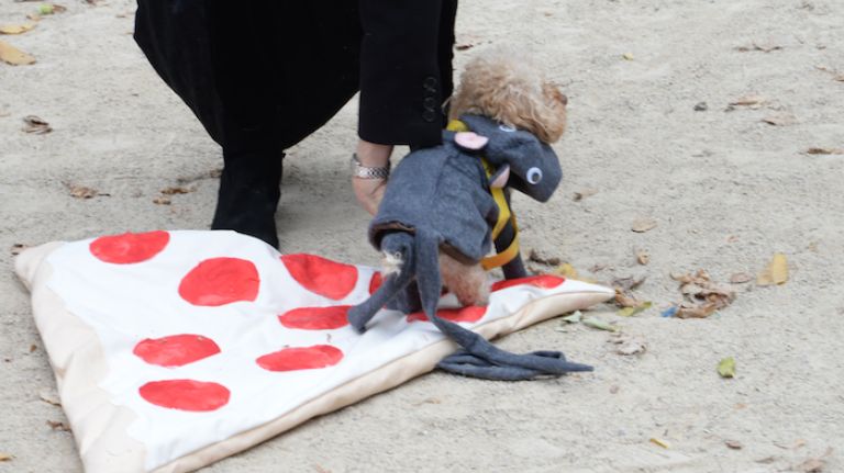 Would the 2015 Tompkins Square Halloween Dog Parade be a celebration without a Pizza Rat? 