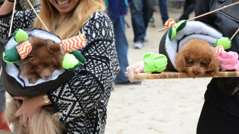 Are these not the cutest sushi rolls you have ever seen? 