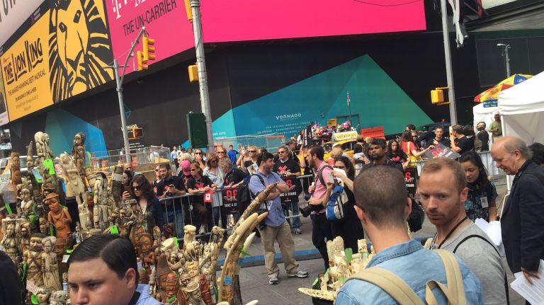 Confiscated ivory awaits crushing in Times Square on June 19, 2015.