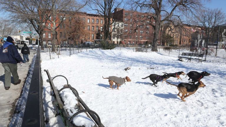 The dog run at Herbert Von King Park.
