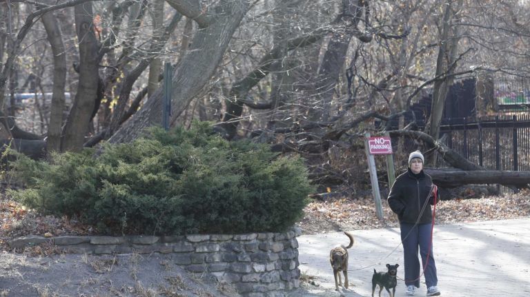 The entrance to Forest Park at Union Turnpike and 70th Road. (Nov. 30, 2013)